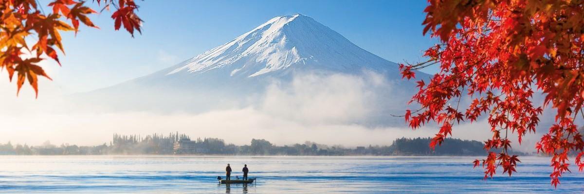 Exclusively for Solo Travelers - Japan Revealed - background banner