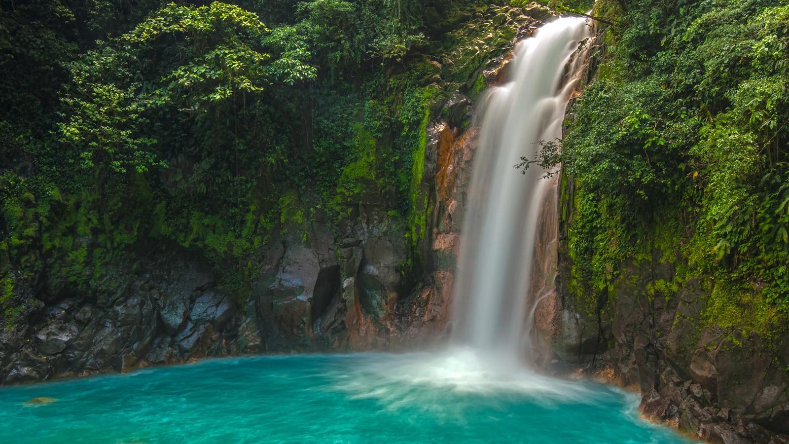 Quelle est la meilleure période pour visiter le Costa Rica ? background